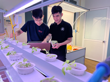 Thực tập doanh nghiệp: Trải nghiệm công việc thực tế và cơ hội nghề nghiệp cho sinh viên ngành Công nghệ nông nghiệp