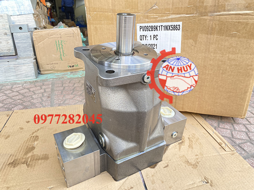 PV092B9K1T1NX5863-parkẻ.jpg