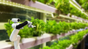 Application of robots in the global agricultural sector